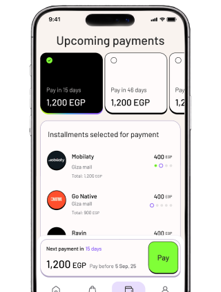 Lucid app balance screen mockup
